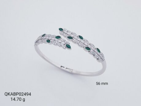QKABP02494